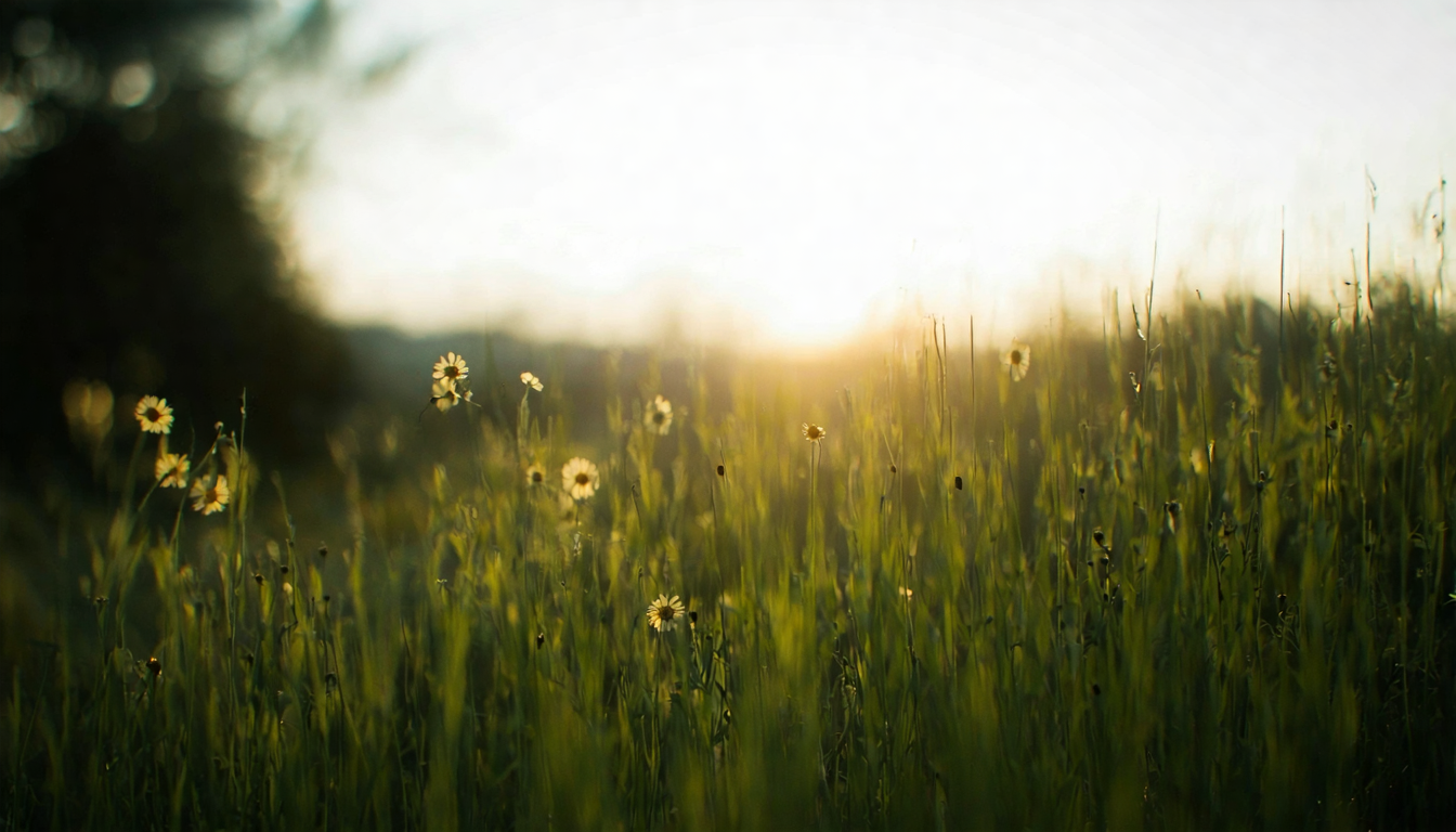 About Trauben Prisma